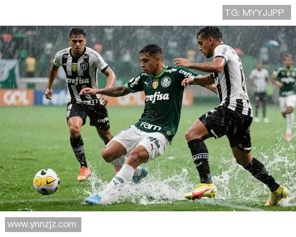 帕尔梅拉丝与弗拉门戈的巅峰对决谁将赢得巴西足球的荣耀