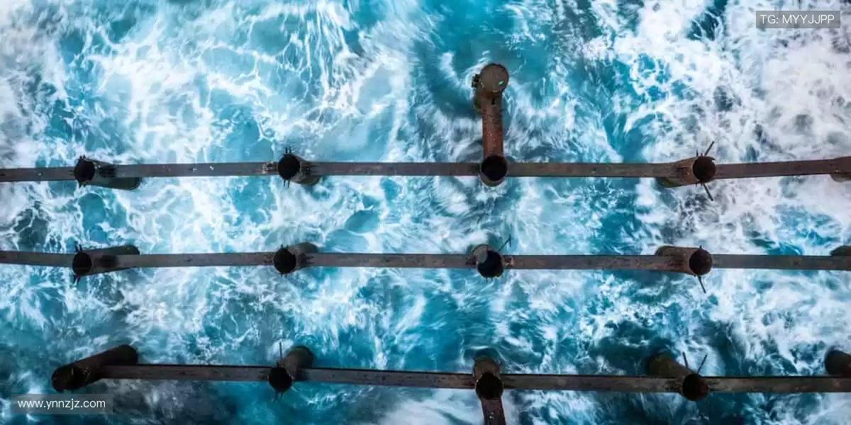 ⚽️ 热血赛事，即刻沸腾！每一场对决都是心跳的理由，点击见证荣耀时刻！